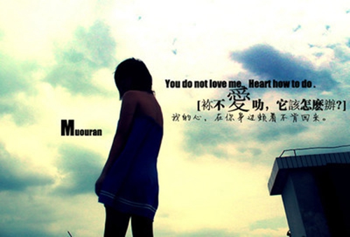 .舒.