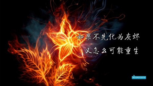 .明.