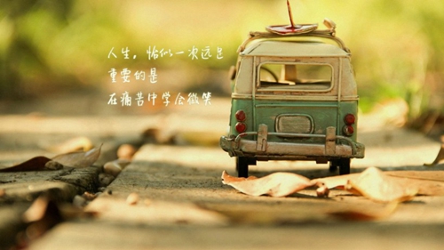 .赵.