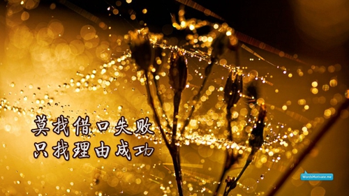.范.
