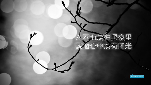 .苏.