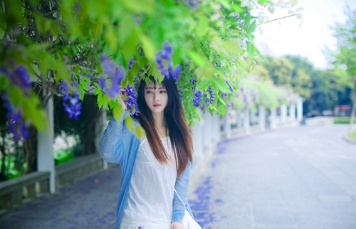 .陶.