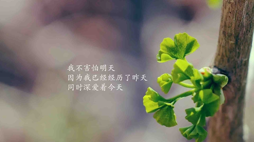 .贝.