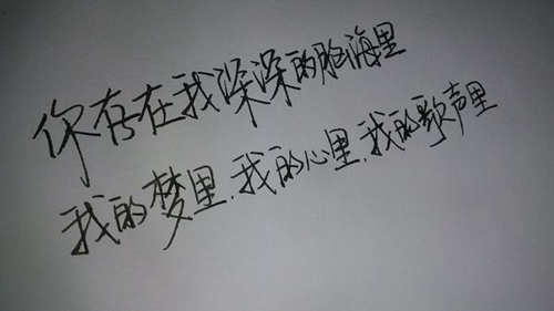 .熊.