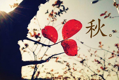 .柏.
