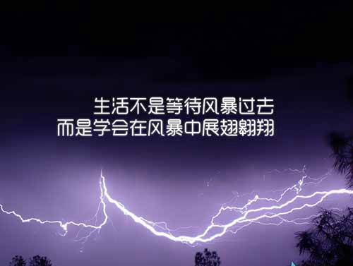 史云名字