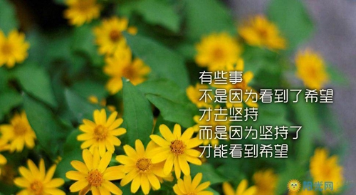 莹字后面加什么好女孩子取名