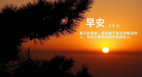 高氏男孩子缺木取什么名字好