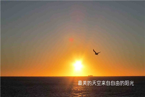 汤氏女宝宝五行缺土取什么名字好（属狗）