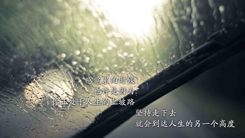 女娃娃取名字多少笔画最好生肖牛