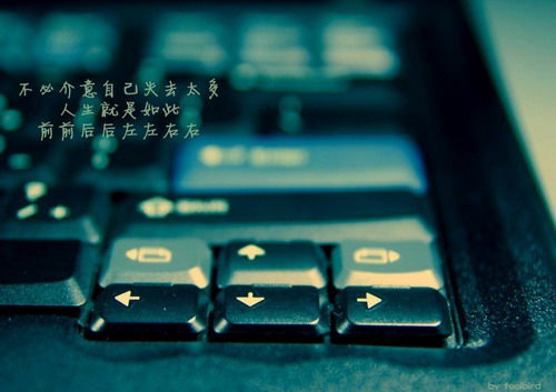 陈姓男孩子最好名字（生肖羊）
