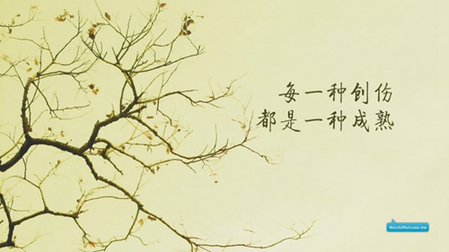 舒氏双胞胎名字