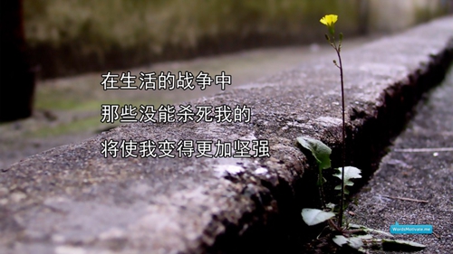 梓取名含义