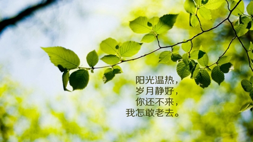 2020年姓孟的女孩名字（2023年孟氏女孩子取名取名字两个字（猴年））