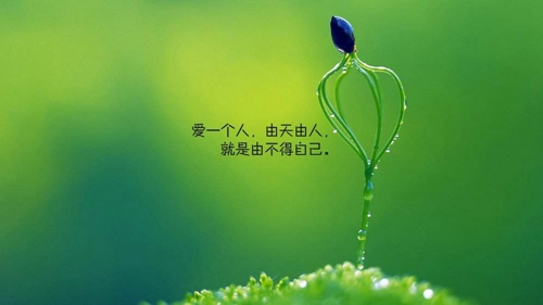 姓云的摩羯座女宝宝取名用什么字好
